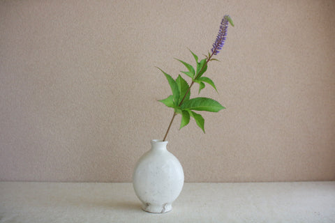 Flat Round Kohiki Vase (White)