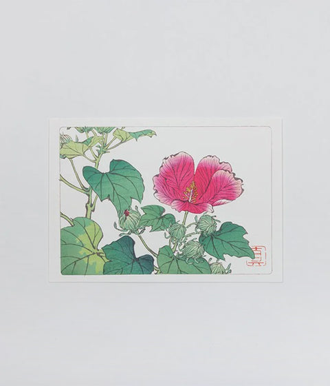 Shibata Zeshin "Hana-Kurabe" Post Cards (Set of 9)