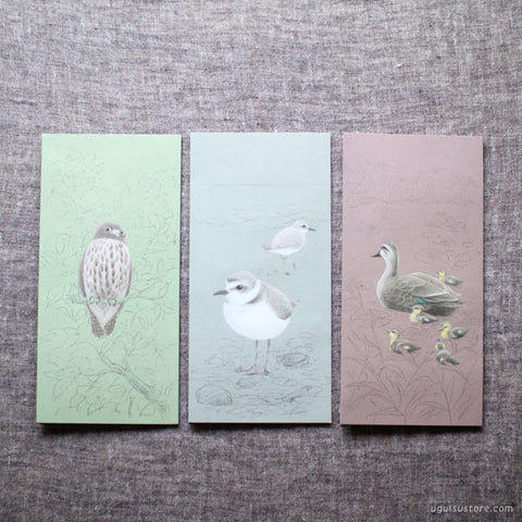 Tobidustry Pop-Up Bird Card {Snowy Plover}