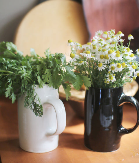 Ceramic Pitcher {White}
