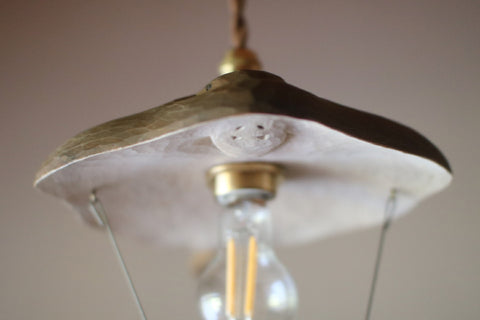 [PRE-ORDER] Ray Fish Airplane Lamp
