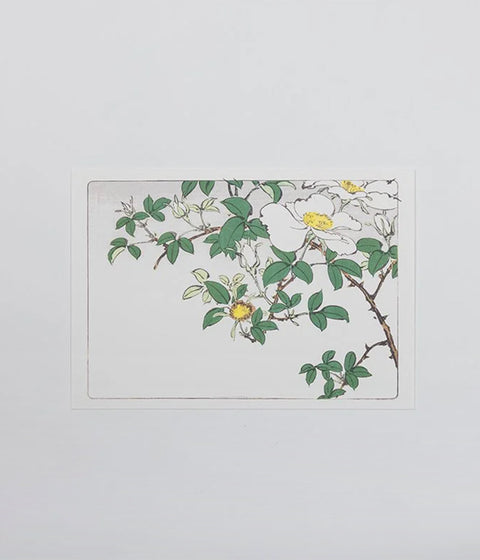 Shibata Zeshin "Hana-Kurabe" Post Cards (Set of 9)