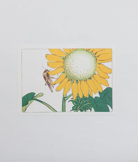Shibata Zeshin "Hana-Kurabe" Post Cards (Set of 9)